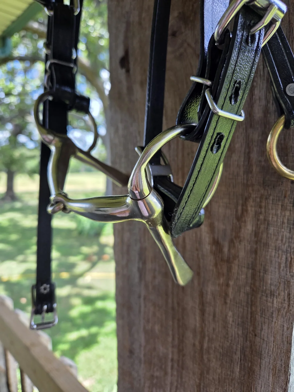 Amish Made Driving Bridle Brahma Webb/Biotane Full Horse w/bit exceptional